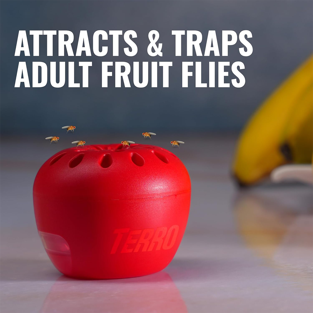 Terro Fruit Fly Trap Ready-to-Use Indoor Fruit Fly Control Solution