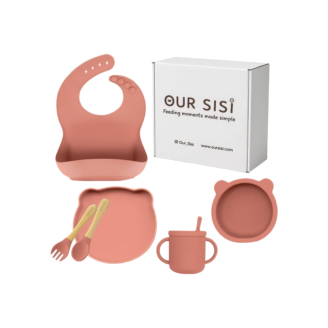 6-Piece Baby Feeding Set – Silicone Dinnerware with Bib, Cup, Plate, Bowl & Utensils (Pink)